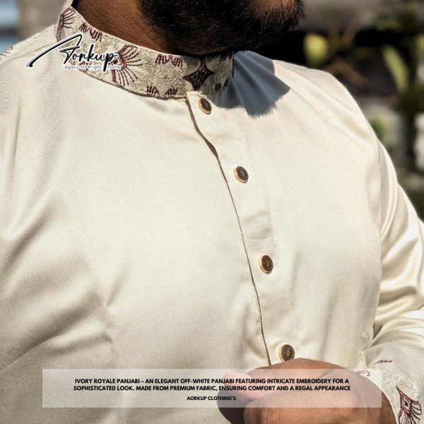 The Ivory Royale Panjabi - Image 5