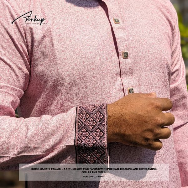 Blush Majesty Panjabi - Image 5