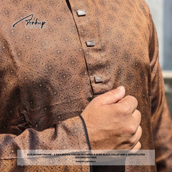 Elite Brown Panjabi - Image 5