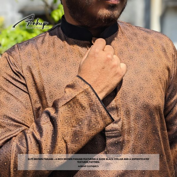 Elite Brown Panjabi - Image 4