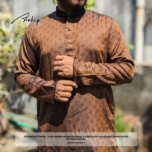 Elite Brown Panjabi - Image 3
