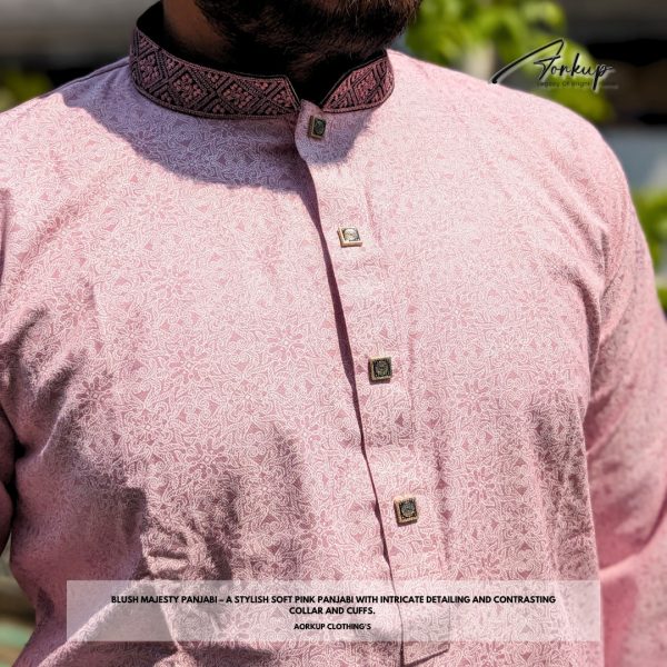 Blush Majesty Panjabi - Image 4