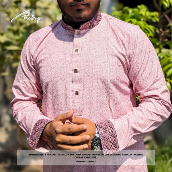 Blush Majesty Panjabi - Image 2