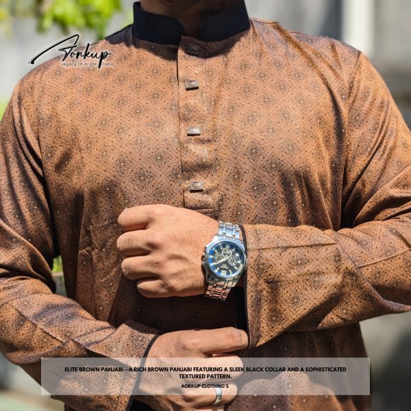 Elite Brown Panjabi - Image 2